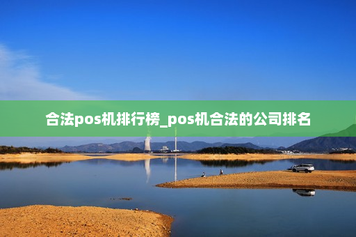 合法pos机排行榜_pos机合法的公司排名